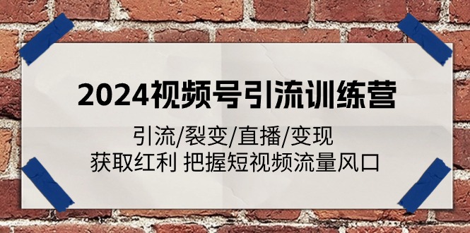 （11337期）2024视频号引流训练营：引流/裂变/直播/变现 获取红利 把握短视频流量风口-蓝天项目网