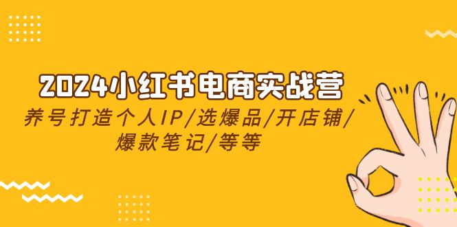 2024小红书电商实战营，养号打造IP/选爆品/开店铺/爆款笔记/等等（24节）-蓝天项目网