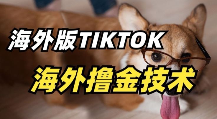 抖音海外版tiktok撸金技术，这个风口行业，赚钱真的不难【揭秘】-蓝天项目网