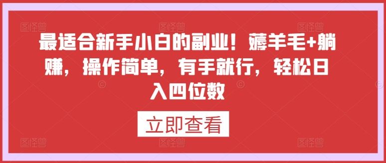 最适合新手小白的副业！薅羊毛+躺赚，操作简单，有手就行，轻松日入四位数【揭秘】-蓝天项目网