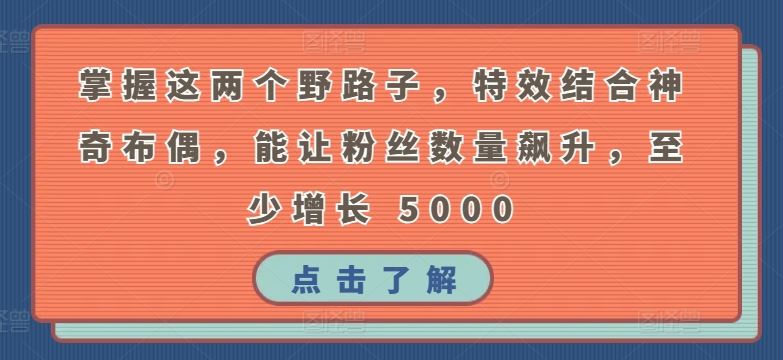 掌握这两个野路子，特效结合神奇布偶，能让粉丝数量飙升，至少增长 5000【揭秘】-蓝天项目网