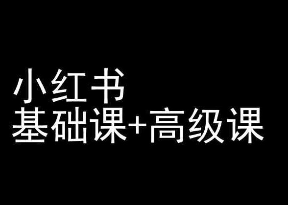 小红书基础课+高级课-小红书运营教程-蓝天项目网