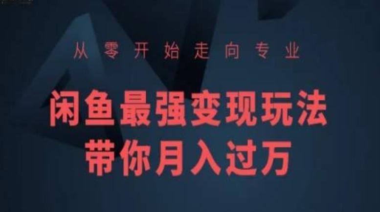 从零开始走向专业，闲鱼最强变现玩法带你月入过万-蓝天项目网