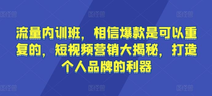 流量内训班，相信爆款是可以重复的，短视频营销大揭秘，打造个人品牌的利器-蓝天项目网