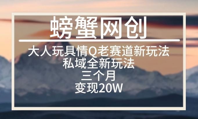 大人玩具情Q用品赛道私域全新玩法，三个月变现20W，老项目新思路【揭秘】-蓝天项目网