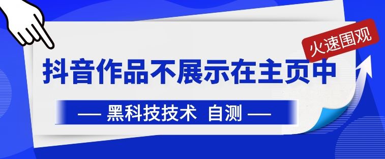 抖音黑科技：抖音作品不展示在主页中【揭秘】-蓝天项目网