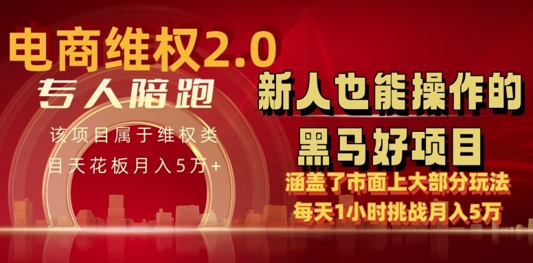 电商维权 4.0 如何做到月入 5 万+每天 1 小时新人也能快速上手【仅揭秘】-蓝天项目网