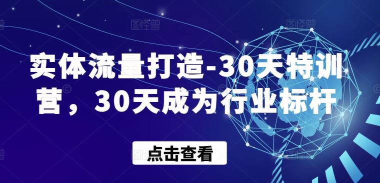 实体流量打造-30天特训营，30天成为行业标杆-蓝天项目网