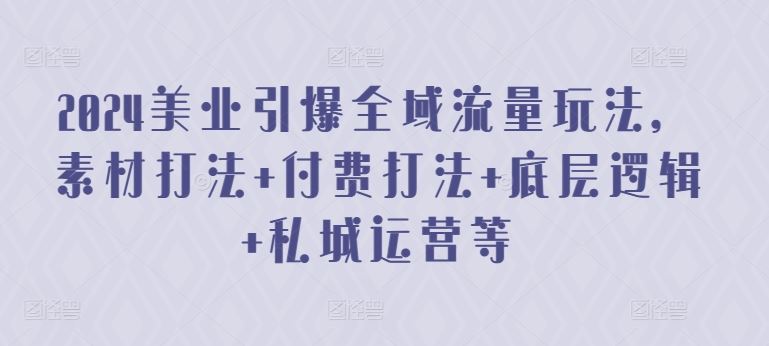 2024美业引爆全域流量玩法，素材打法 付费打法 底层逻辑 私城运营等-蓝天项目网