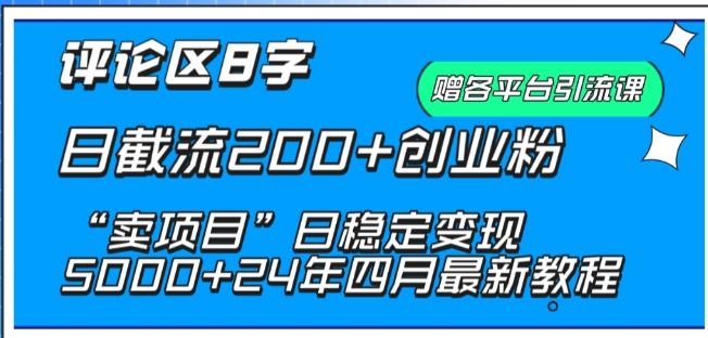 抖音评论区8字日截流200+创业粉 “卖项目”日稳定变现5000+【揭秘】-蓝天项目网