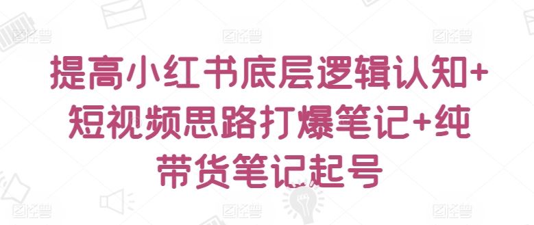 提高小红书底层逻辑认知+短视频思路打爆笔记+纯带货笔记起号-蓝天项目网