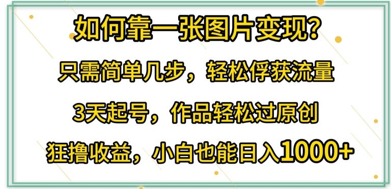 如何靠一张图片变现?只需简单几步，轻松俘获流量，3天起号，作品轻松过原创【揭秘】-蓝天项目网