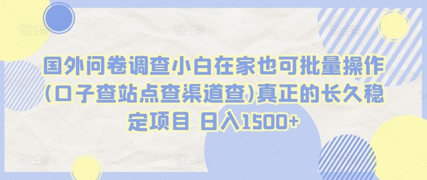 国外问卷调查小白在家也可批量操作(口子查站点查渠道查)真正的长久稳定项目 日入1500+【揭秘】-蓝天项目网