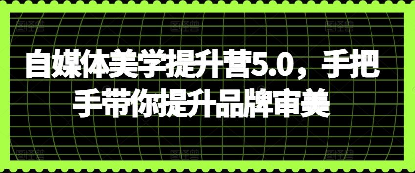 自媒体美学提升营5.0，手把手带你提升品牌审美-蓝天项目网