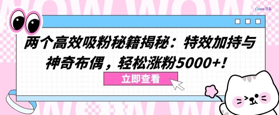 两个高效吸粉秘籍揭秘：特效加持与神奇布偶，轻松涨粉5000+【揭秘】-蓝天项目网