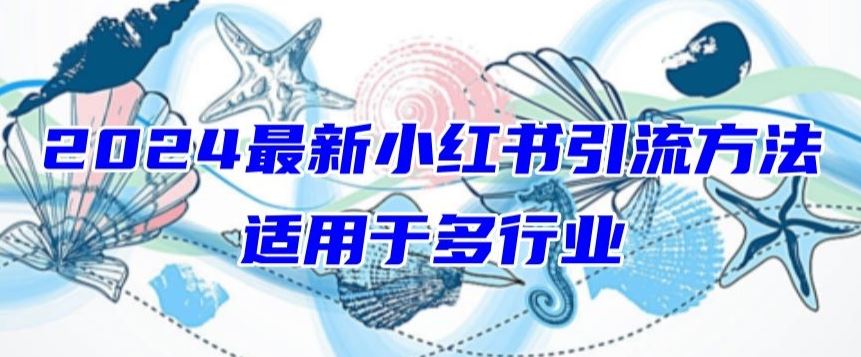 2024最新小红书引流，适用于任何行业，小白也可以轻松的打粉【揭秘】-蓝天项目网