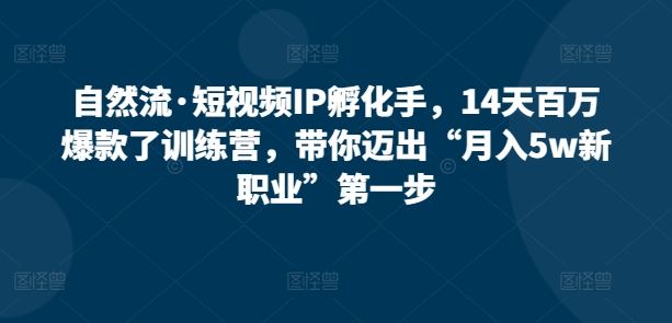 自然流·短视频IP孵化手，14天百万爆款了训练营，带你迈出“月入5w新职业”第一步-蓝天项目网