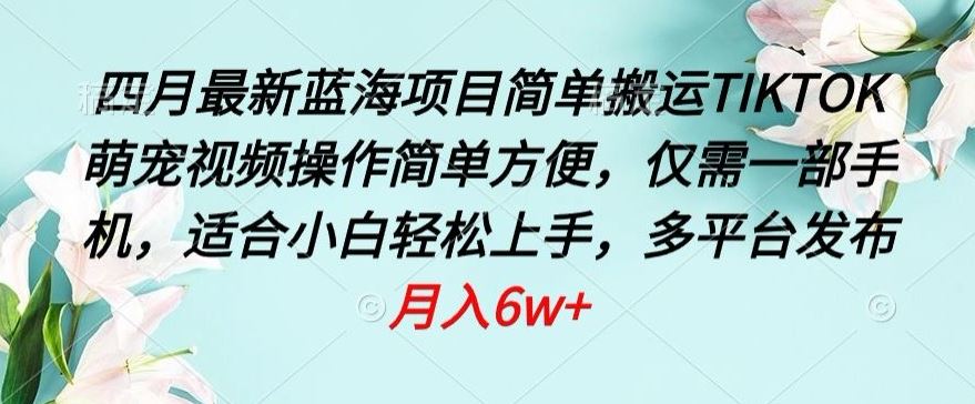 四月最新蓝海项目，简单搬运TIKTOK萌宠视频，操作简单方便，仅需一部手机【揭秘】-蓝天项目网