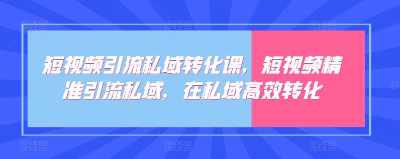 短视频引流私域转化课，短视频精准引流私域，在私域高效转化-蓝天项目网