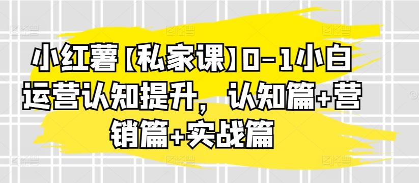 小红薯【私家课】0-1小白运营认知提升，认知篇+营销篇+实战篇-蓝天项目网