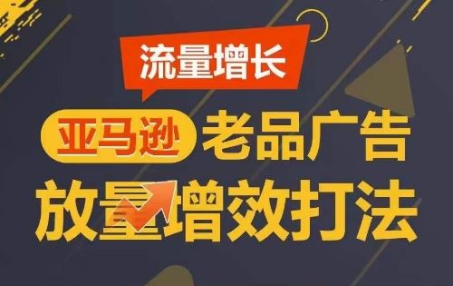 流量增长 亚马逊老品广告放量增效打法，短期内广告销量翻倍-蓝天项目网