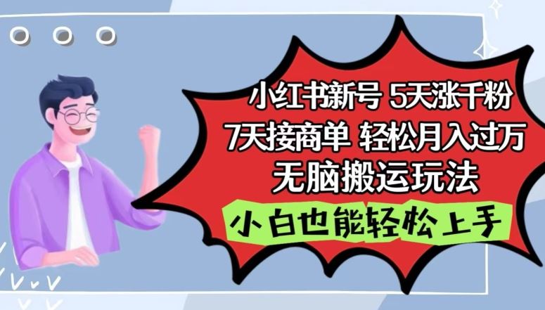 小红书影视泥巴追剧5天涨千粉，7天接商单，轻松月入过万，无脑搬运玩法【揭秘】-蓝天项目网