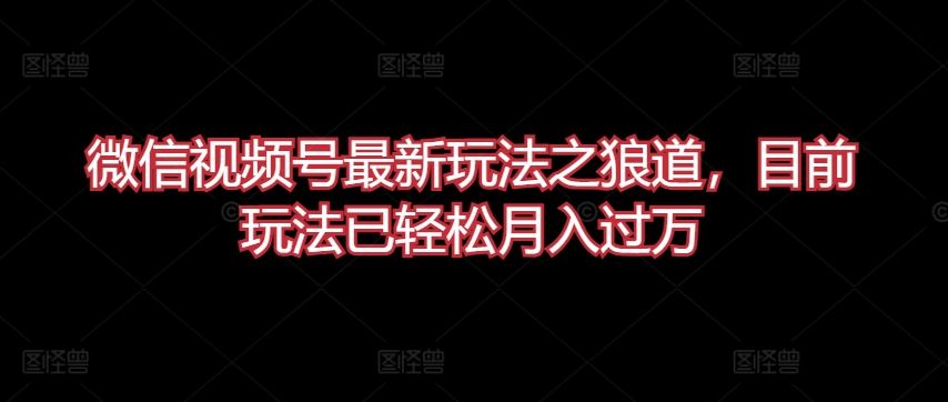 微信视频号最新玩法之狼道，目前玩法已轻松月入过万【揭秘】-蓝天项目网