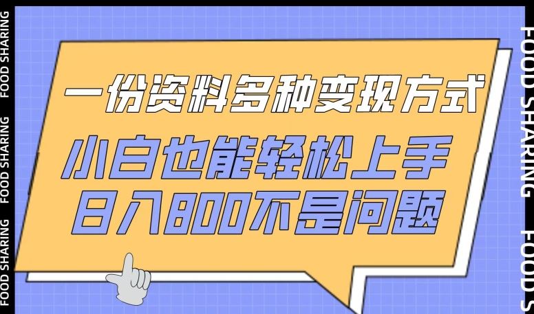 一份资料多种变现方式，小白也能轻松上手，日入800不是问题【揭秘】-蓝天项目网