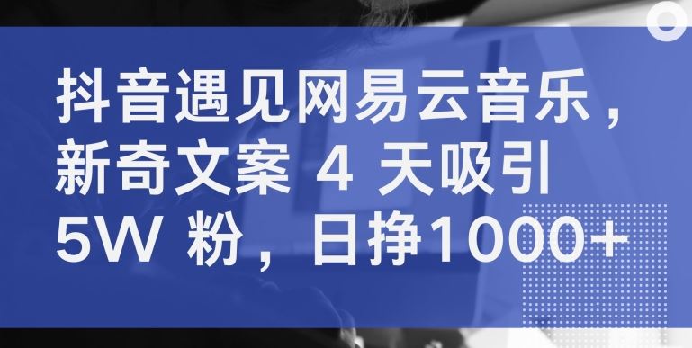 抖音遇见网易云音乐，新奇文案 4 天吸引 5W 粉，日挣1000+【揭秘】-蓝天项目网