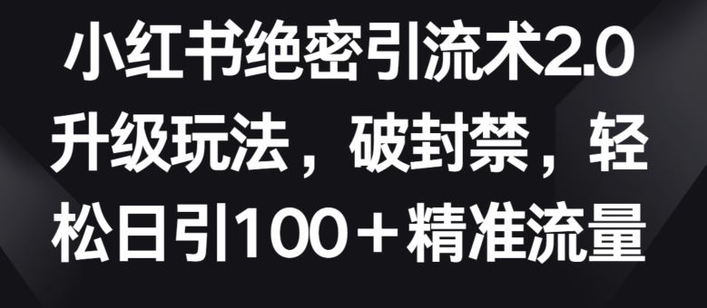 小红书绝密引流术2.0升级玩法，破封禁，轻松日引100+精准流量【揭秘】-蓝天项目网