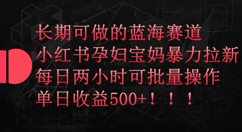 长期可做的蓝海赛道，小红书孕妇宝妈暴力拉新玩法，每日两小时可批量操作，单日收益500+【揭秘】-蓝天项目网