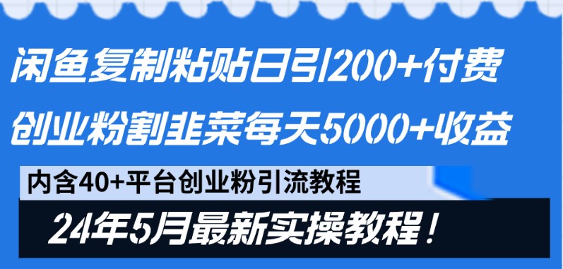 闲鱼复制粘贴日引200+付费创业粉，24年5月最新方法！割韭菜日稳定5000+收益-蓝天项目网