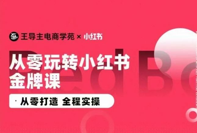 王导主·小红书电商运营实操课，​从零打造  全程实操-蓝天项目网