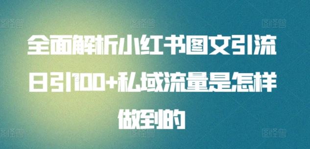 全面解析小红书图文引流日引100+私域流量是怎样做到的【揭秘】-蓝天项目网