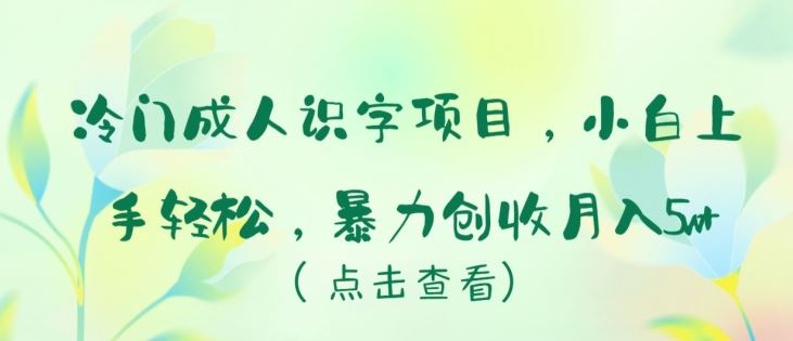 冷门成人识字项目，小白上手轻松，暴力创收月入5w+【揭秘】-蓝天项目网