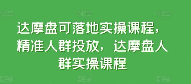 达摩盘可落地实操课程，精准人群投放，达摩盘人群实操课程-蓝天项目网