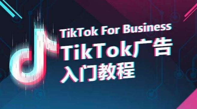 TikTok广告入门教程，从0到1掌握TikTok投放的全流程-蓝天项目网