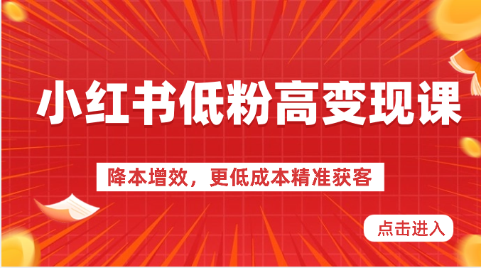 小红书低粉高变现课-降本增效，更低成本精准获客，小红书必爆的流量密码-蓝天项目网