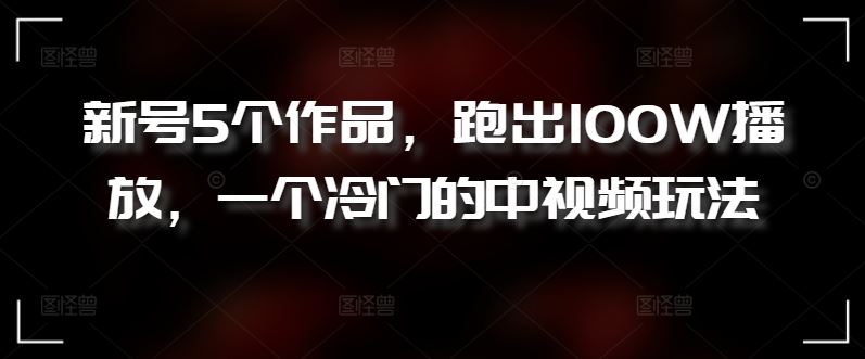 新号5个作品，跑出100W播放，一个冷门的中视频玩法【揭秘】-蓝天项目网