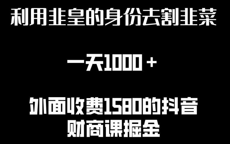 利用非皇的身份去割韭菜，一天1000+(附详细资源)【揭秘】-蓝天项目网