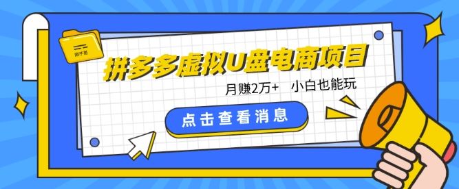 拼多多虚拟U盘电商红利项目：月赚2万+，新手小白也能玩-蓝天项目网