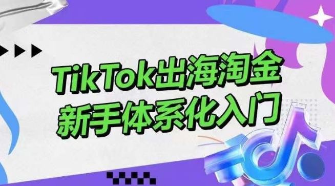 TikTok出海淘金，新手体系化入门，零基础快速入门，掌握短视频、直播带货等引流到变现的知识-蓝天项目网