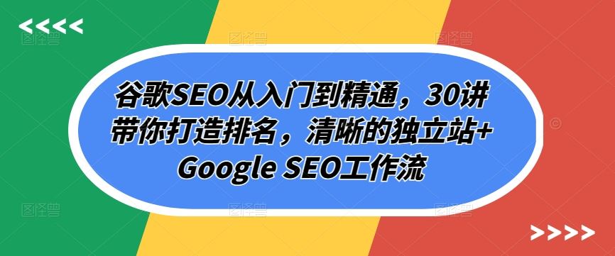 谷歌SEO从入门到精通，30讲带你打造排名，清晰的独立站+Google SEO工作流-蓝天项目网