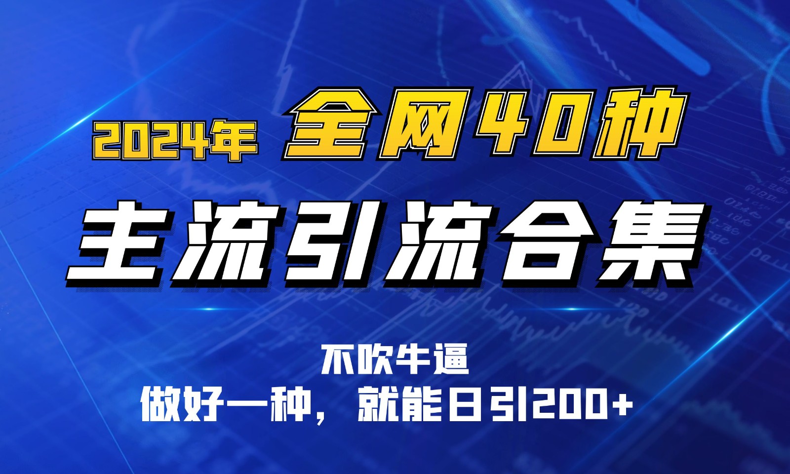 2024年全网40种暴力引流合计，做好一样就能日引100+-蓝天项目网