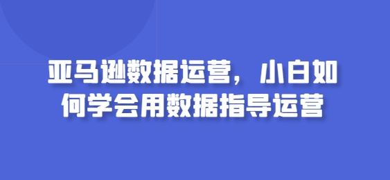 亚马逊数据运营，小白如何学会用数据指导运营-蓝天项目网