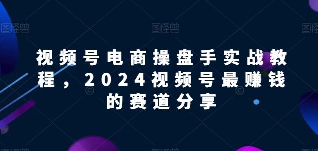 视频号电商实战教程，2024视频号最赚钱的赛道分享-蓝天项目网