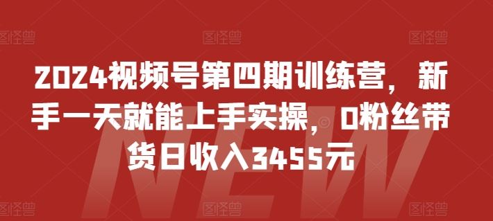 2024视频号第四期训练营，新手一天就能上手实操，0粉丝带货日收入3455元-蓝天项目网