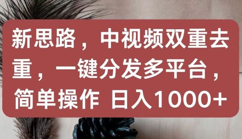 新思路，中视频双重去重，一键分发多平台，简单操作，日入1000+【揭秘】-蓝天项目网