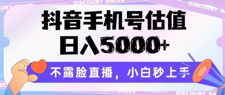 抖音手机号估值，日入5000+，不露脸直播，小白秒上手【揭秘】-蓝天项目网