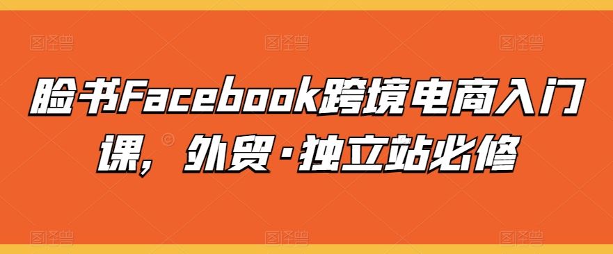 脸书Facebook跨境电商入门课，外贸·独立站必修-蓝天项目网